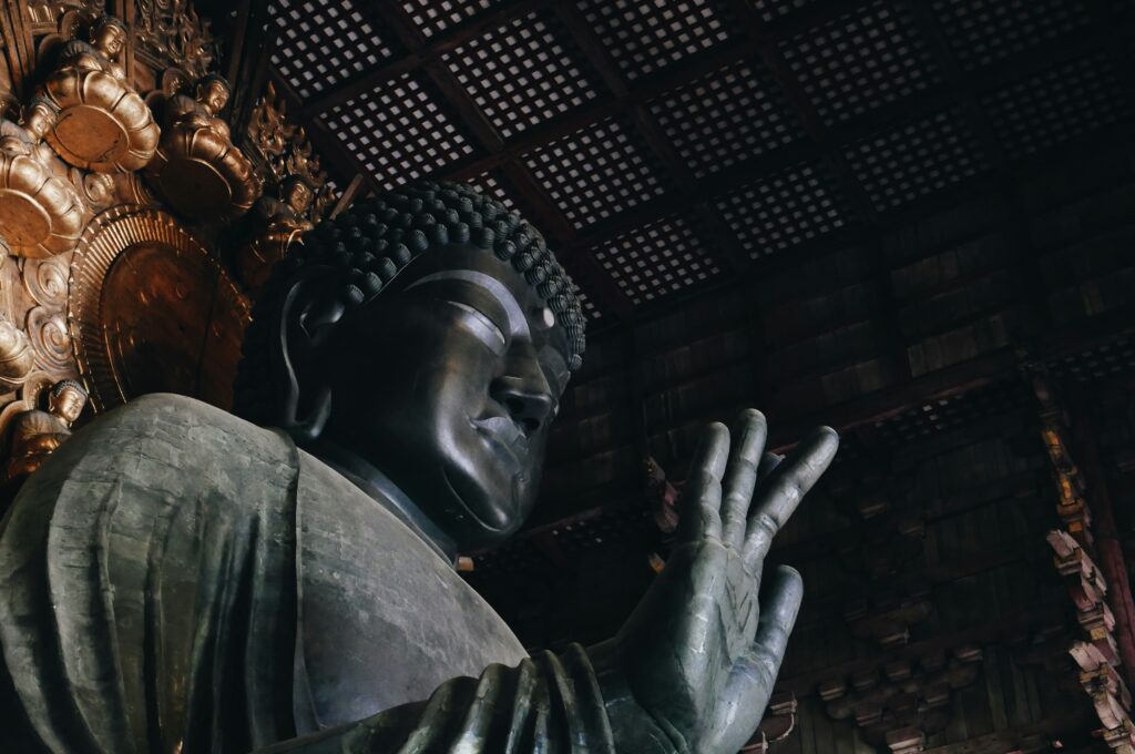 falco negenman iYaQk s unsplash